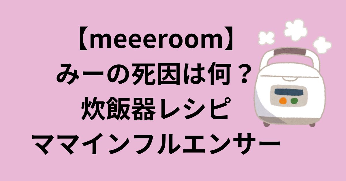 meeeroom・みーの死因は何？炊飯器レシピママインフルエンサー | おばねこブログ